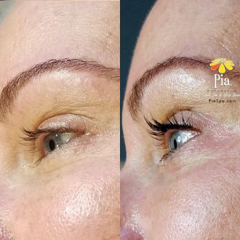 The best place for Eyebrows & Eyelashes in Tampa