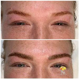 pia microblading in tampa fl - microblading eyebrows