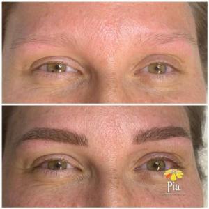 pia microblading in tampa fl - microblading eyebrows