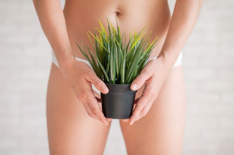 The Benefits of Getting a Brazilian Wax at Pia Esthetics Day Spa